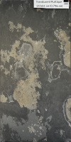 Каменный шпон Translucent Rustique (Рустик) 122х61см (0,74 м.кв) Сланец
